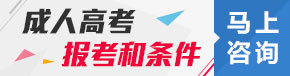 报名咨询